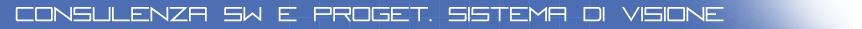consulenza software
