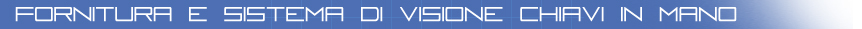 consulenza software