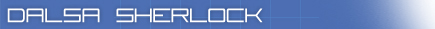 consulenza software